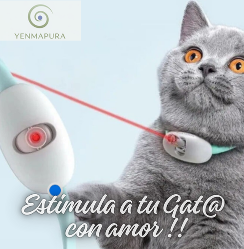 Convierte cada paso de tu gato en una aventura