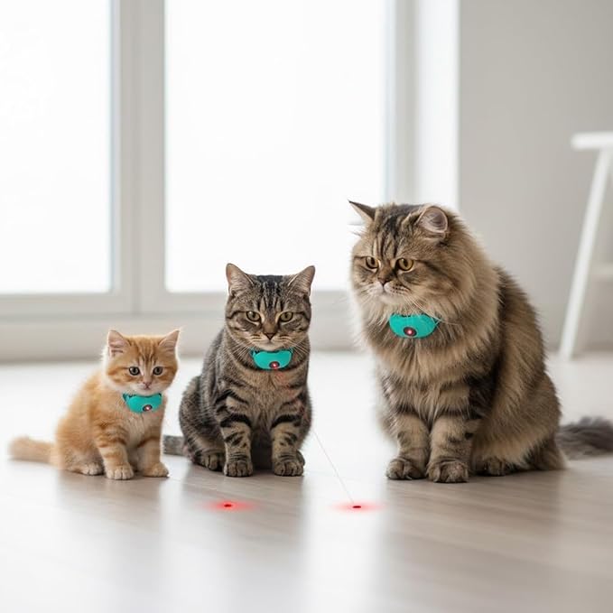 Convierte cada paso de tu gato en una aventura