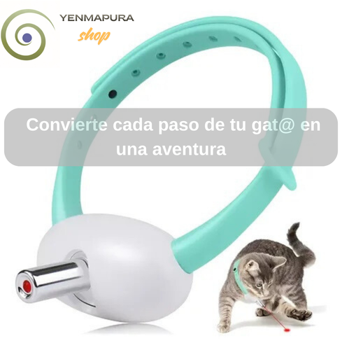 Convierte cada paso de tu gato en una aventura